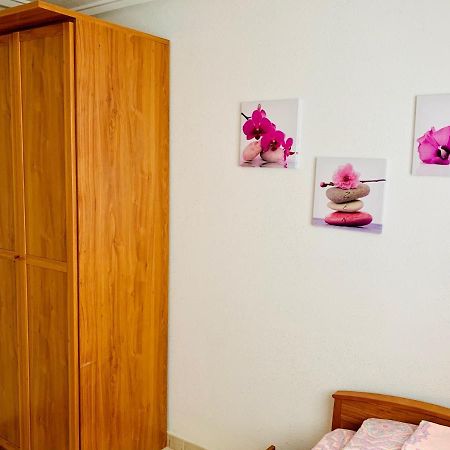 Apartamento Felix De La Fuente Torrevieja Exterior photo