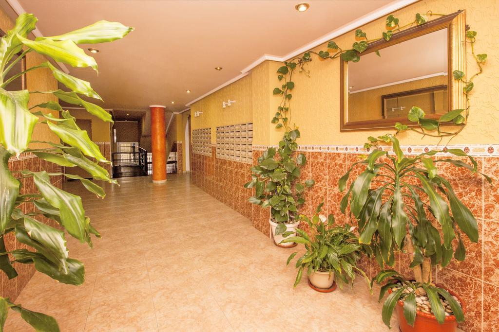 Apartamento Felix De La Fuente Torrevieja Exterior photo